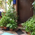 Belli Siciliani, restaurantul italian cu specific sicilian al familiei Bellantoni in Matasari