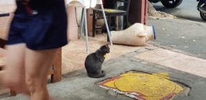 Belli Siciliani, restaurantul italian cu specific sicilian al familiei Bellantoni in Matasari