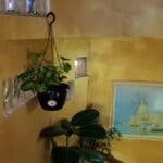 Belli Siciliani, un restaurant italian cu specific sicilian in strada Matasari