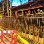 Biserica Precupetii Vechi, cu Trattoria Amore, Templul Soarelui si Moudys Kitchen in jur