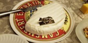 Cina uruguayana pregatita de Daniela Tencu, bucatareasa Ambasadorului