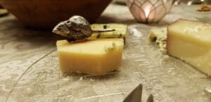 Cina uruguayana pregatita de Daniela Tencu, bucatareasa Ambasadorului