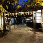 Gradina Moudys Kitchen, restaurant cu specific oriental - sirian, turcesc si armean