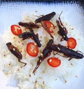 Interviu Restocracy cu Catalin Petrescu, Executive Chef Nuba si Argentine Steak & Sushi