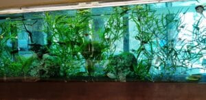 La Terrazza, restaurant italian traditional in Cotroceni