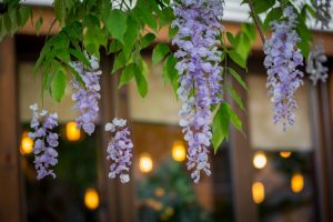 Moudy's Kitchen, restaurant pe strada Toamnei din Bucuresti