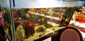 Naser 3, restaurant cu specific oriental arabesc in strada Matasari