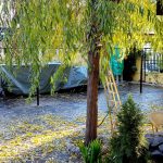 Naser 3, restaurant cu specific oriental arabesc in strada Matasari