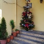 Naser 3, restaurant cu specific oriental arabesc in strada Matasari