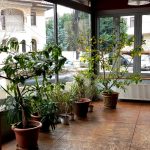 Olio, restaurant cu bucatarie italiana traditionala pe strada Clucerului