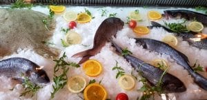 Osteria Zucca, bistrou italian pe Jean Louis Calderon in Bucuresti