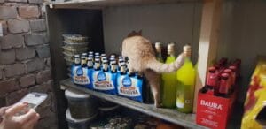 Pivnita restaurantului italienesc Belli Siciliani din strada Matasari in Bucuresti