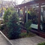 Sabatini Pizza & Restaurant, bucatarie italiana la Piata Domenii