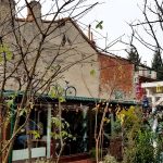 Sabatini Pizza & Restaurant, bucatarie italiana la Piata Domenii