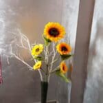 Spago Restaurant and Lounge, bucatarie italiana in strada Vasile Urseanu