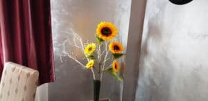 Spago Restaurant and Lounge, bucatarie italiana in strada Vasile Urseanu