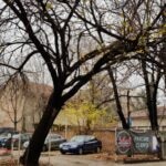 Strada Mihail Eminescu, la intersectia cu Viitorului, cu restaurantul Blue Margarita