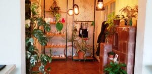 Therapy Bistro, cafenea boema la Moxa in Bucuresti