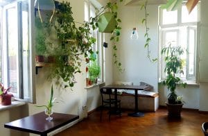Therapy Bistro, cafenea boema la Moxa in Bucuresti