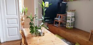 Therapy Bistro, cafenea boema la Moxa in Bucuresti