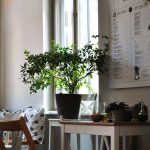 Therapy, bistro, in zona Calea Victoriei, strada Moxa