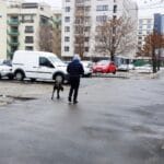 Calea Dudesti pe la restaurantul libanez Karamna