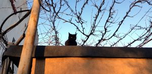 Cartierul Militari, la restaurantul frantuzesc La Cave de Bucarest