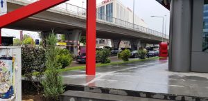 Promenada Mall, cu Japanos, Joy, Cafe de Fleurs in jur