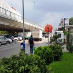 Promenada Mall, cu Japanos, Joy, Cafe de Fleurs in jur