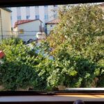 Restaurantul arabesc Murad de la Piata Domenii