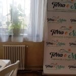 Terra e Mare, restaurant si pizzerie pe Calea Calarasilor in Bucuresti