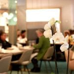Brunch la Radisson Blu Hotel din Bucuresti