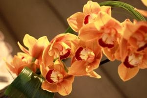 Brunch la Radisson Blu Hotel din Bucuresti