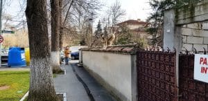 Cartierul Primaverii din Bucuresti, cu restaurantul Mesogios Seafood