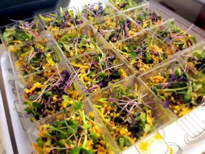 Lansarea meniului de primavara si a Scolii de bucatari vegani Rawdia