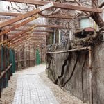 Lente Arcului, cafenea boema cu mansarda in strada Arcului din Bucuresti