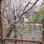 Lente Arcului, cafenea boema cu mansarda in strada Arcului din Bucuresti