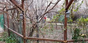 Lente Arcului, cafenea boema cu mansarda in strada Arcului din Bucuresti