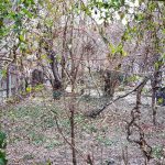 Lente Arcului, cafenea boema cu mansarda in strada Arcului din Bucuresti