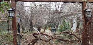 Lente Arcului, cafenea boema cu mansarda in strada Arcului din Bucuresti