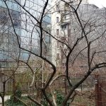 Lente Arcului, cafenea boema cu mansarda in strada Arcului din Bucuresti