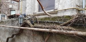 Lente Arcului, cafenea boema cu mansarda in strada Arcului din Bucuresti