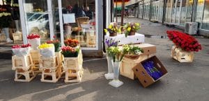 Piata de Flori, Rahova si Uranus de pe The Ark si Ivan Pescar