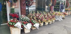 Piata de Flori, Rahova si Uranus de pe The Ark si Ivan Pescar