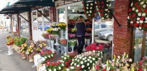 Piata de Flori, Rahova si Uranus de pe The Ark si Ivan Pescar