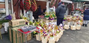 Piata de Flori, Rahova si Uranus de pe The Ark si Ivan Pescar