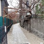 Strazile Arcului si Armand Calinescu din Bucuresti, cu Mansarda Lente