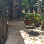 Unico Vero, restaurant italian si pizza