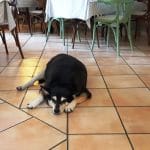 Restaurant italian traditional cu bucatar fara talent