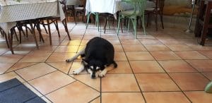 Unico Vero, restaurant italian traditional in strada Viitorului